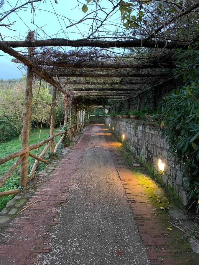 Sunrise Luxury Experience Bed & Breakfast Piano di Sorrento Exterior photo