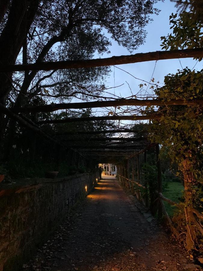 Sunrise Luxury Experience Bed & Breakfast Piano di Sorrento Exterior photo